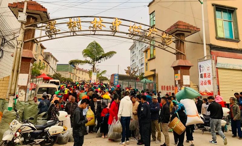 关于三村乡：春茶“抢鲜”上市 助力茶农增收的资讯(1)