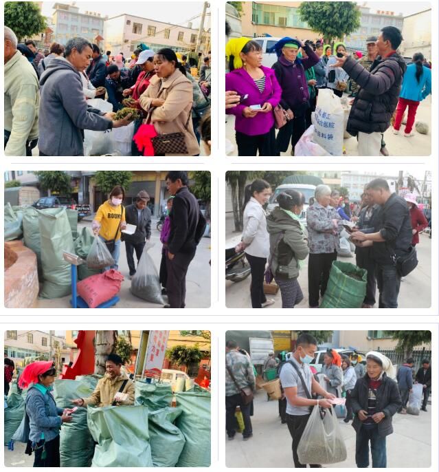 关于三村乡：春茶“抢鲜”上市 助力茶农增收的资讯(2)