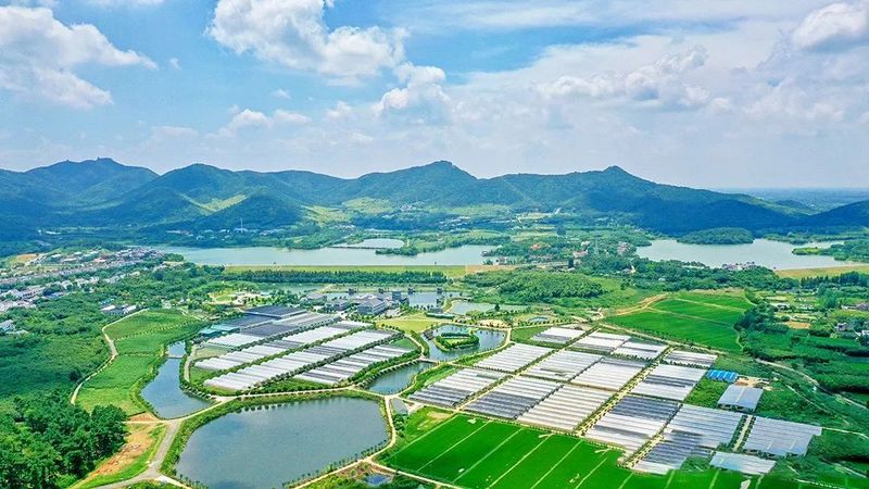 关于百条红色茶乡旅游精品路线,江苏金坛:重温茅山抗日史,重走茅山抗战路的资讯(8)