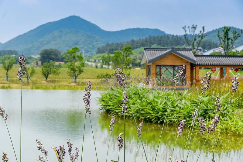 关于百条红色茶乡旅游精品路线,江苏金坛:重温茅山抗日史,重走茅山抗战路的资讯(7)