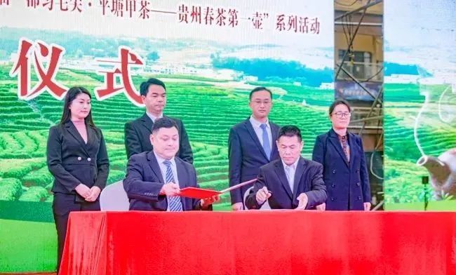 有关于平塘县第七届“都匀毛尖·平塘甲茶——贵州春茶第一壶”系列活动开幕的新闻(2)