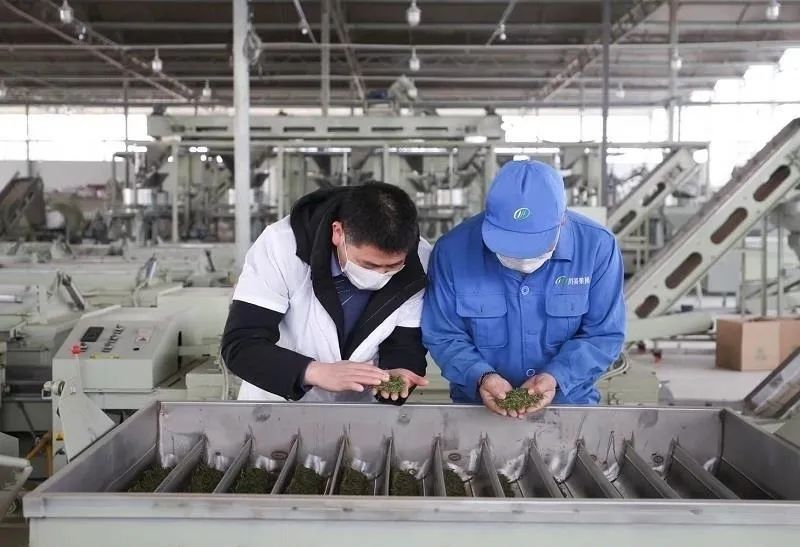 有关于一周热门:各地春茶行情、茶艺培训教材、大益7542、中茶熊猫贡沱的新闻(6)