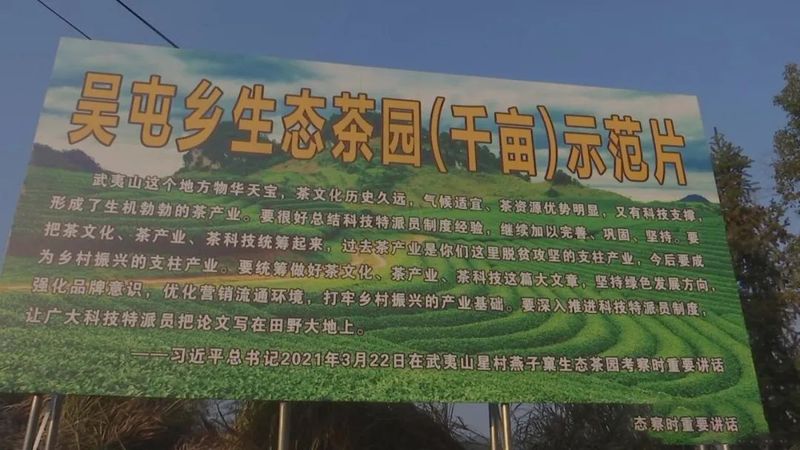 关于助推生态茶园建设 ,专家支招“把脉”春茶的相关信息