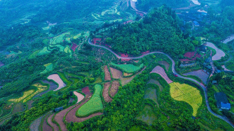 关于红网《湘茶档案》重磅来袭:打造湖南茶与人的百科全书的相关信息(4)