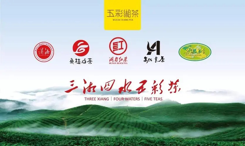 关于红网《湘茶档案》重磅来袭:打造湖南茶与人的百科全书的相关信息(5)