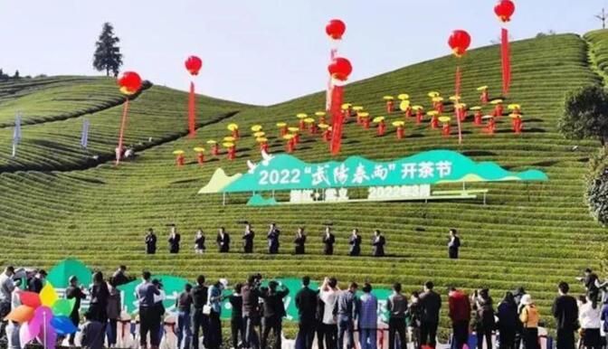 关于浙江武义:数字赋能茶更香“四色”茶叶促共富的相关信息