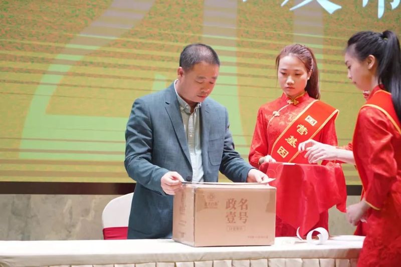 有关于剖析千年茶县的“走红之路”,政和白茶发展论坛顺利举行的新闻(6)