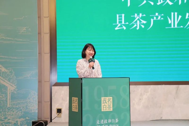 有关于剖析千年茶县的“走红之路”,政和白茶发展论坛顺利举行的新闻(1)