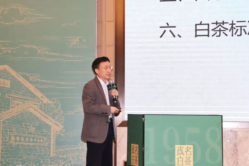 有关于剖析千年茶县的“走红之路”,政和白茶发展论坛顺利举行的新闻(2)