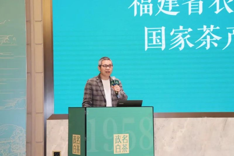 有关于剖析千年茶县的“走红之路”,政和白茶发展论坛顺利举行的新闻(3)