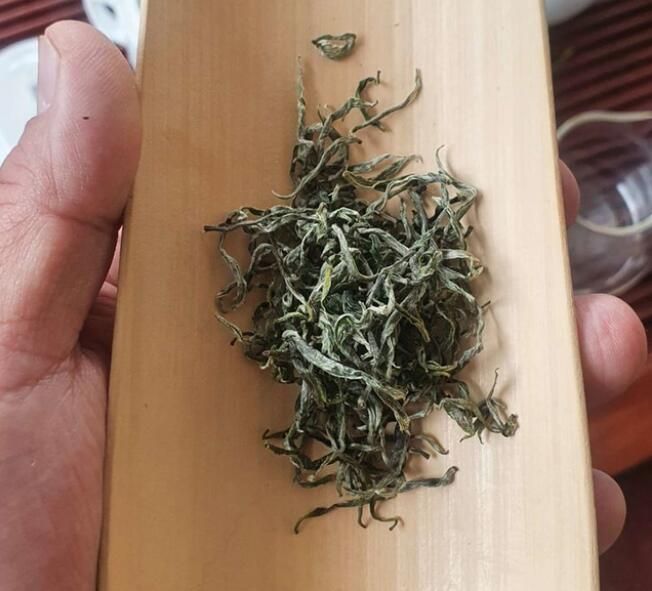 关于湘西州湘农大茶产业研究院专家组调研“湘西黄金茶春茶”生产的相关信息(9)