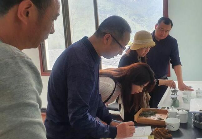 关于湘西州湘农大茶产业研究院专家组调研“湘西黄金茶春茶”生产的相关信息(8)