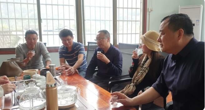 关于湘西州湘农大茶产业研究院专家组调研“湘西黄金茶春茶”生产的相关信息(7)