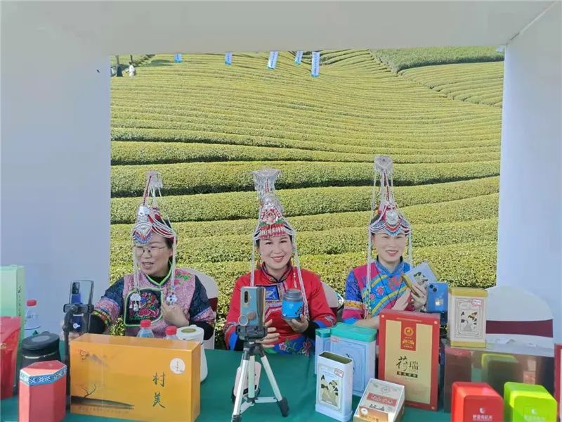 关于春天里 向共富,武义举行2022“武阳春雨”开茶节的新闻(4)