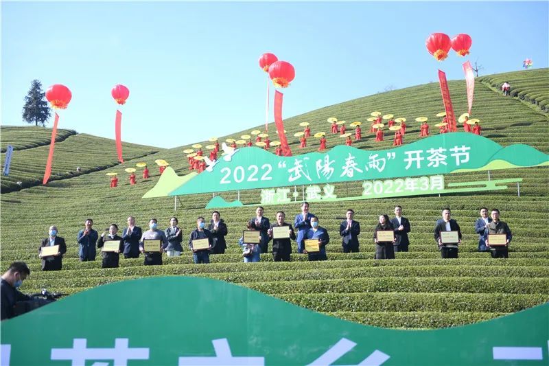 关于春天里 向共富,武义举行2022“武阳春雨”开茶节的新闻(1)