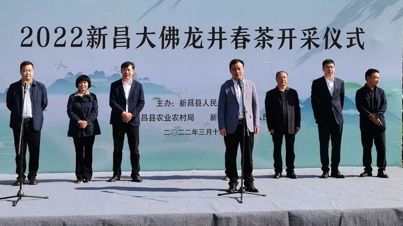 关于浙江新昌大佛龙井春茶开采的信息(5)