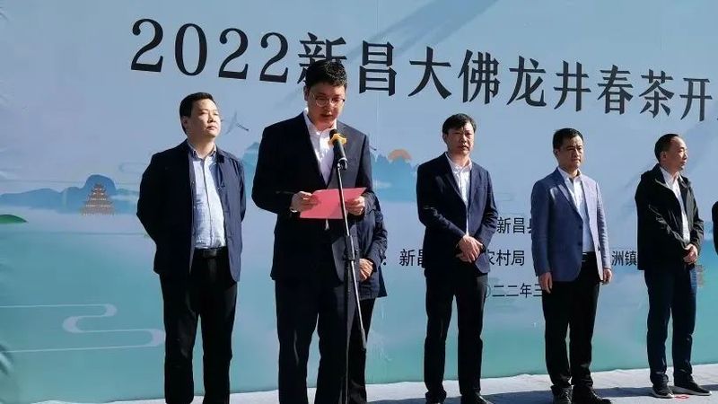 关于浙江新昌大佛龙井春茶开采的信息(2)