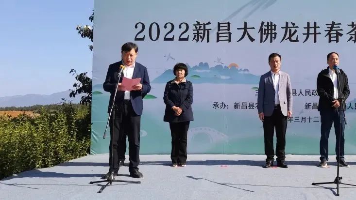 关于浙江新昌大佛龙井春茶开采的信息(3)