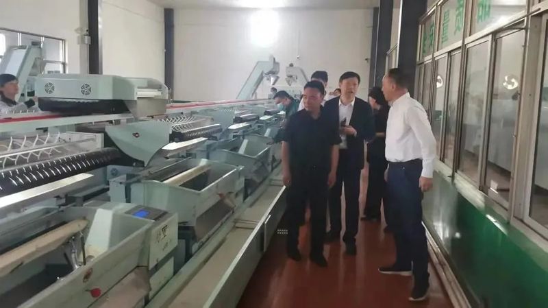关于浙江新昌大佛龙井春茶开采的信息(6)