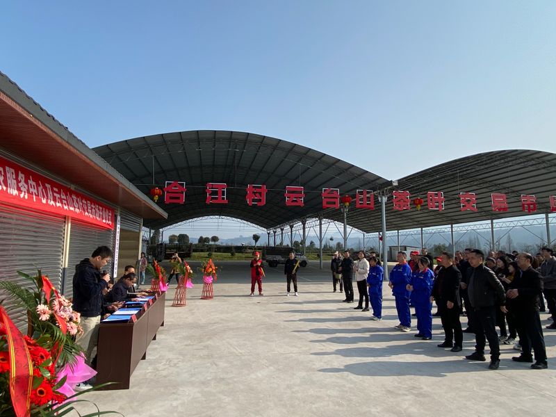 有关于雨城区草坝镇人大:人大代表进茶园 当好“三员”助生产的内容(2)