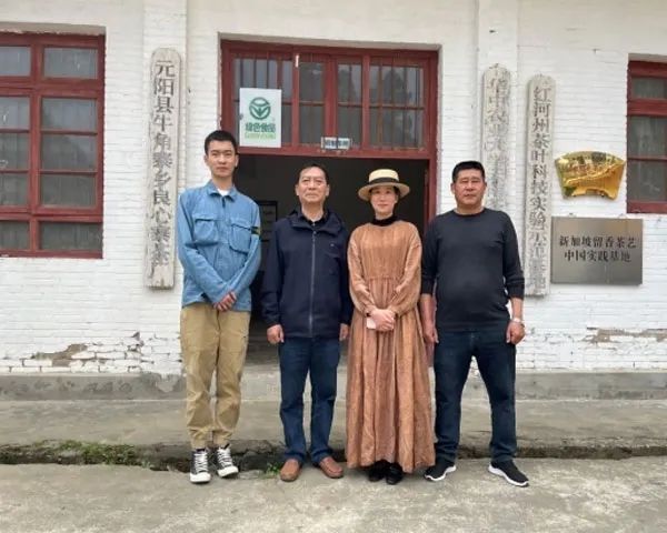 关于云南茶叶所专家到元阳开展低产值绿色茶园提质增效技术培训的相关内容(3)