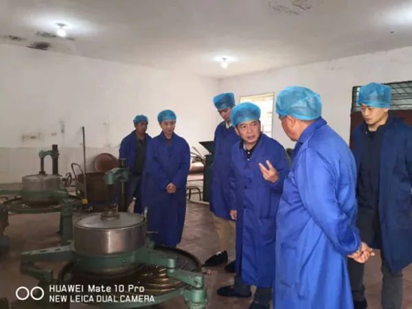 关于云南茶叶所专家到元阳开展低产值绿色茶园提质增效技术培训的相关内容(1)