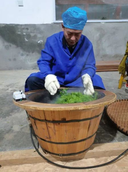关于云南茶叶所专家到元阳开展低产值绿色茶园提质增效技术培训的相关内容(2)