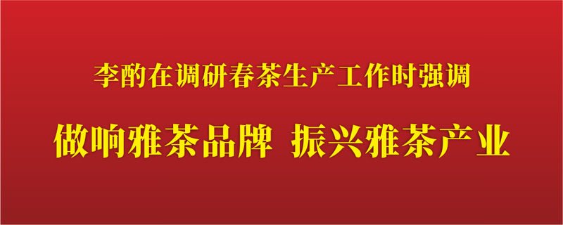 有关于李酌在调研春茶生产工作时强调:做响雅茶品牌 振兴雅茶产业的消息
