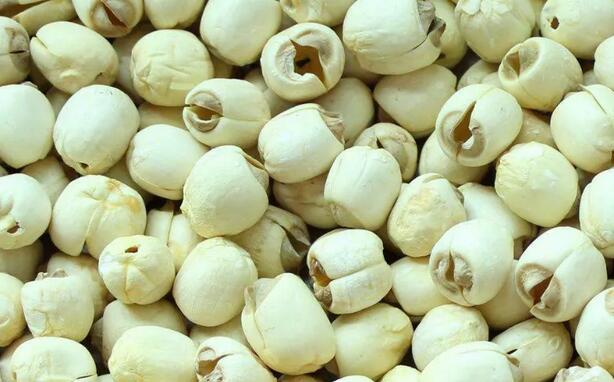 莲子心泡水喝的功效