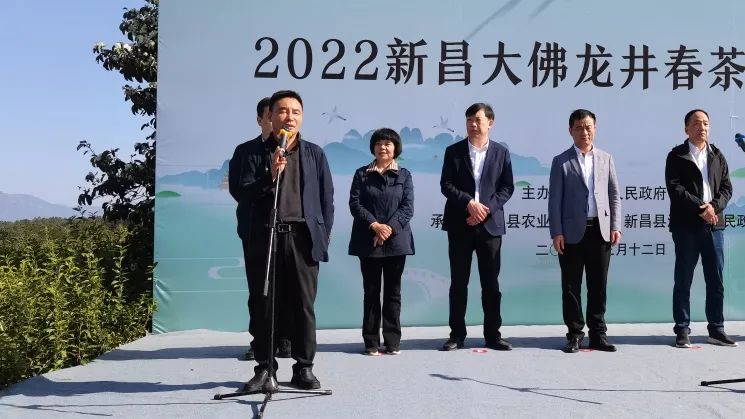 关于不负春光,来一场新昌茶乡的龙井之约的内容(4)