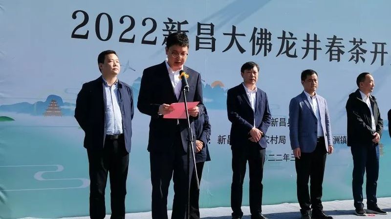 关于不负春光,来一场新昌茶乡的龙井之约的内容(2)
