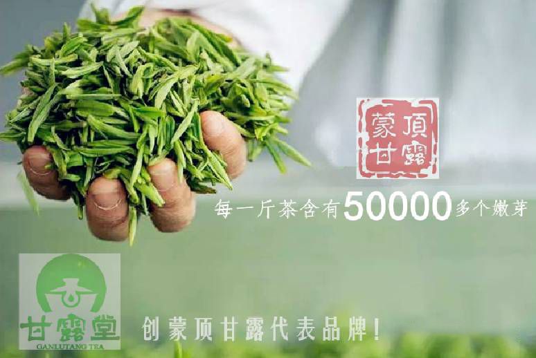 关于2022蒙顶甘露春茶市场需求呈现爆发性增长,鲜叶/干茶交易,量价双升的相关内容(5)