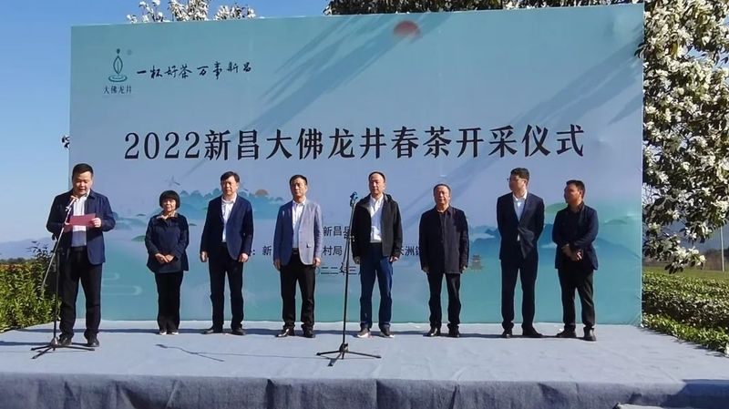 有关于不负春光,来一场新昌茶乡的龙井之约的相关内容(1)