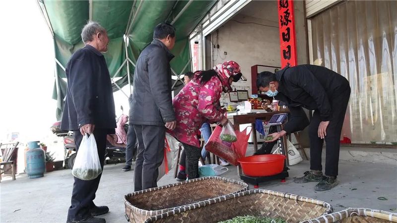 有关于春茶采摘进入旺季 “数字制茶”促农增收的资讯(2)