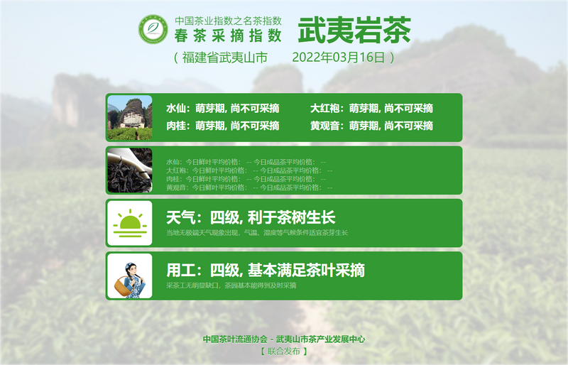 关于洞庭碧螺春进入四级!的资讯(9)