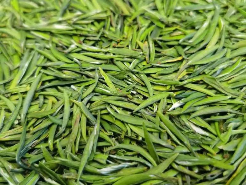 关于“茶行业预测”“为何开茶店”“广东茶叶产销形势”“春茶地图”的消息(4)