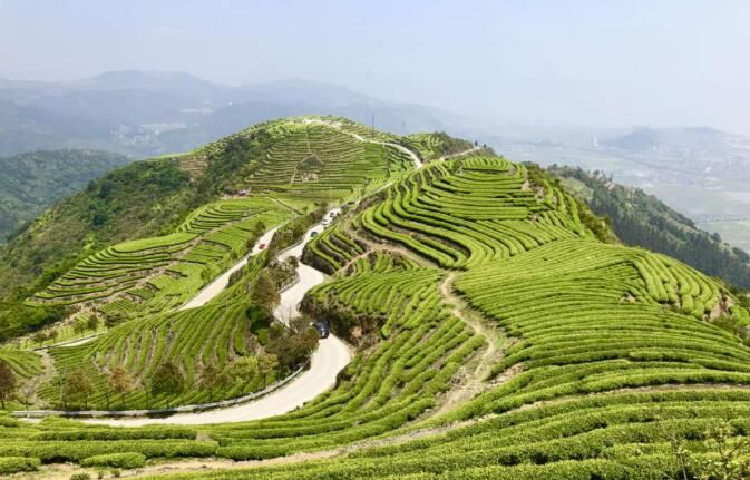 有关于福建连江长龙：以茶促旅走出振兴路的信息(1)