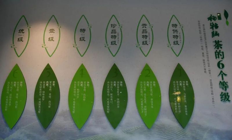 有关于他笑着说:茶是热的,饭是香的的内容(8)