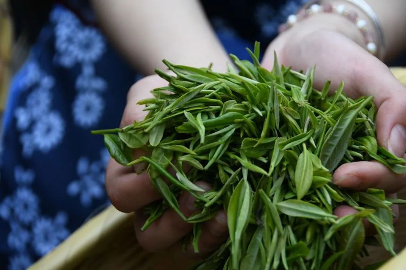 有关于他笑着说:茶是热的,饭是香的的内容(1)