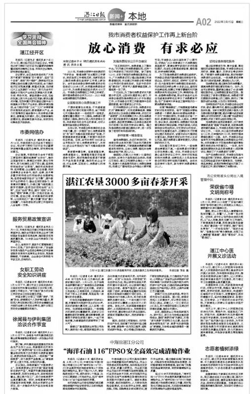 关于湛江农垦3000多亩春茶开采的新闻