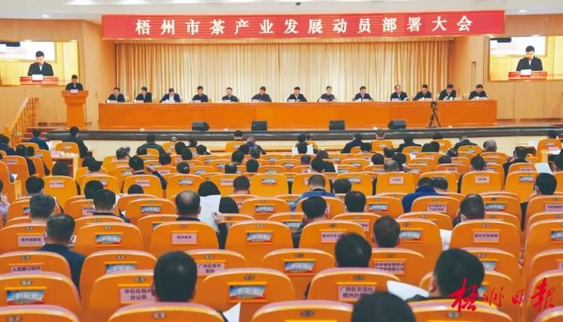 有关于种下六堡茶 荒山变“金山”的信息