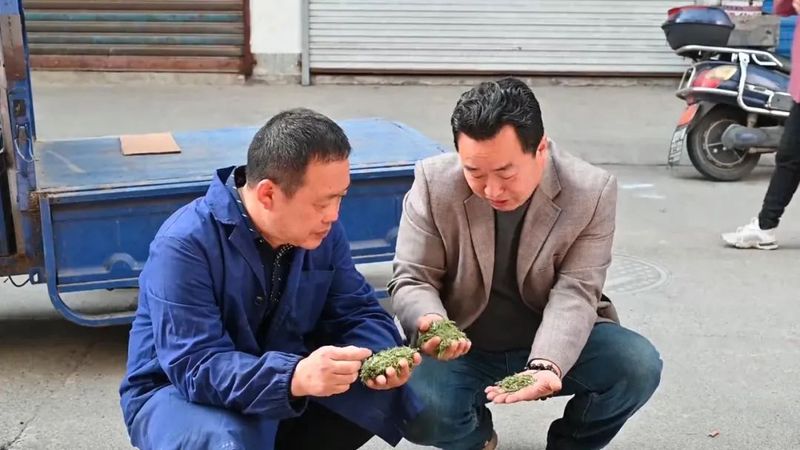 关于祁门县又到春茶飘香时 茶农茶商交易忙的消息(5)