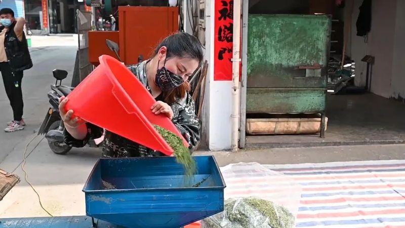 关于祁门县又到春茶飘香时 茶农茶商交易忙的消息(4)