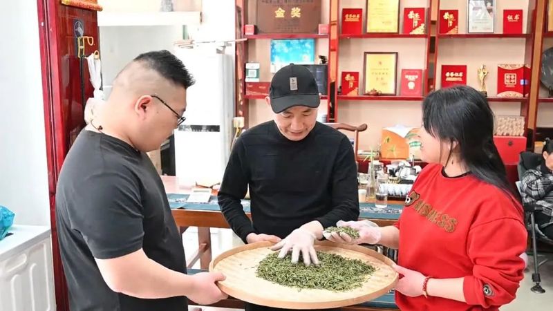 关于祁门县又到春茶飘香时 茶农茶商交易忙的消息(3)