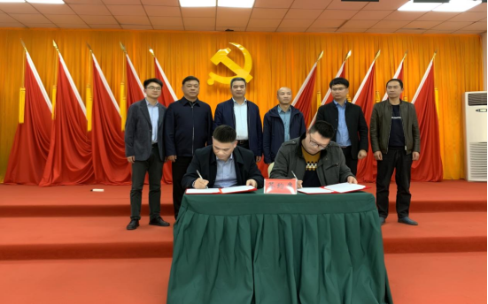 关于携手携茶 共享共富——浙茶集团启动新一年“白叶一号”收购的资讯(2)