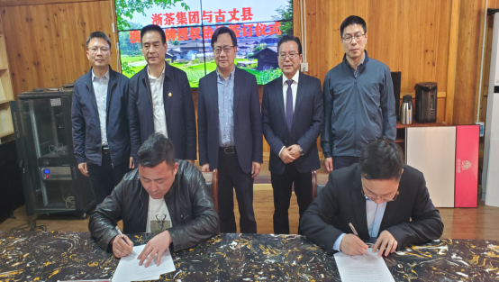 关于携手携茶 共享共富——浙茶集团启动新一年“白叶一号”收购的资讯(3)