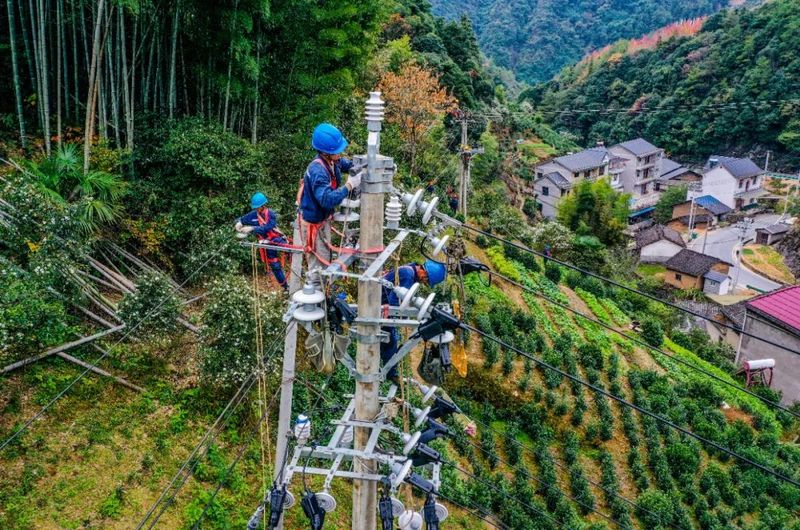 关于历口镇春茶开采 电力服务抢先行的信息