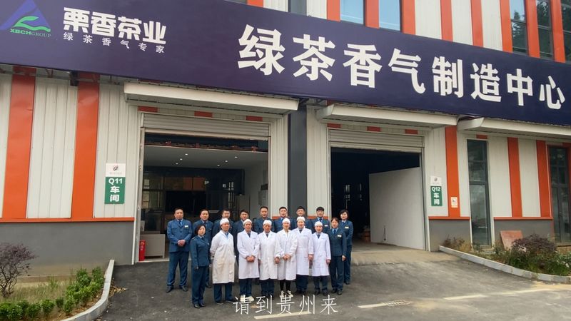 关于湄潭：栗香茶业流河渡茶园春茶正式开采的信息(2)