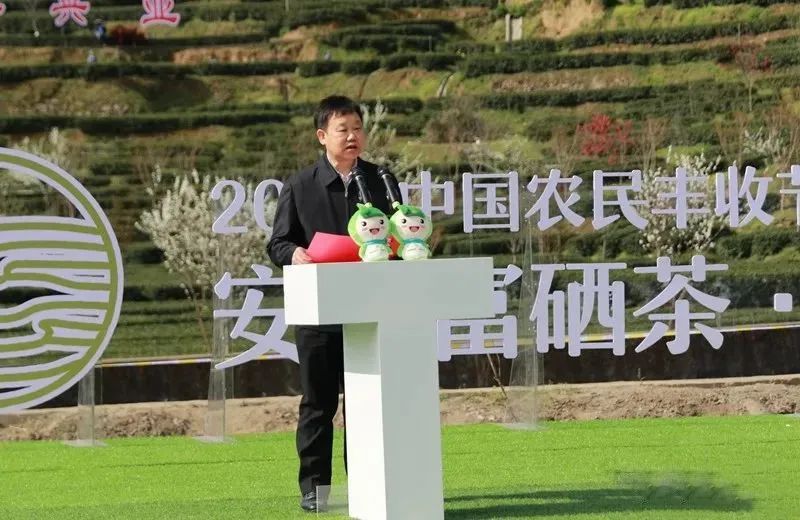 有关于安康百万亩茶园盛大开园的相关内容(1)