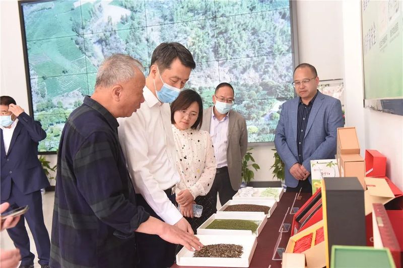 有关于以富民增收为核心 着力推动农业提质增效发展,李强调研春耕备耕和茶产业的新闻